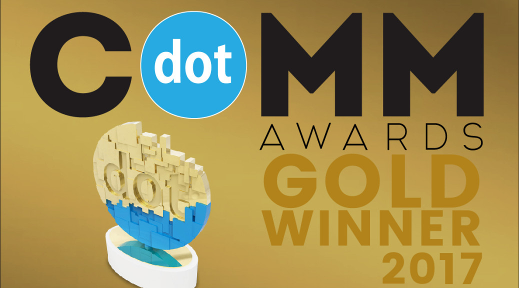 EverCare Website Wins dotCOMM Award